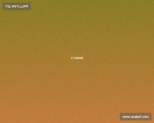 875体育赛事直播