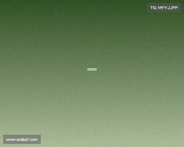 国标比赛现场 国标比赛现场