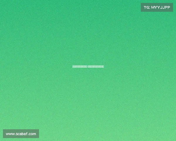 汉堡与德累斯顿的赛事 汉堡和德累斯顿比赛结果