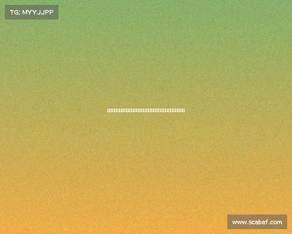 竞技水平为核心：深入剖析赛事质量对运动发展的战略价值及其提升路径