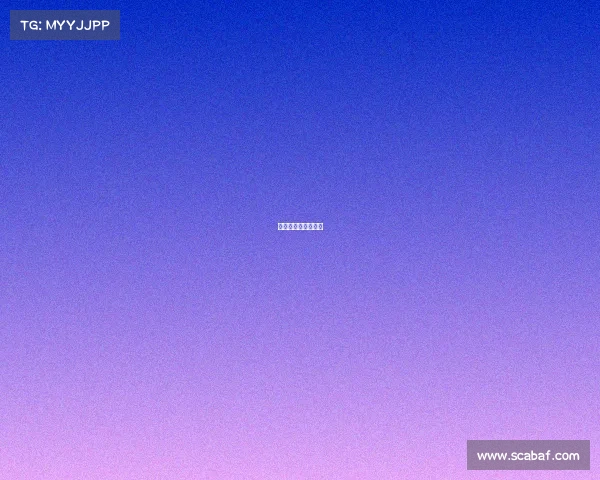 美国拳击金腰带比赛